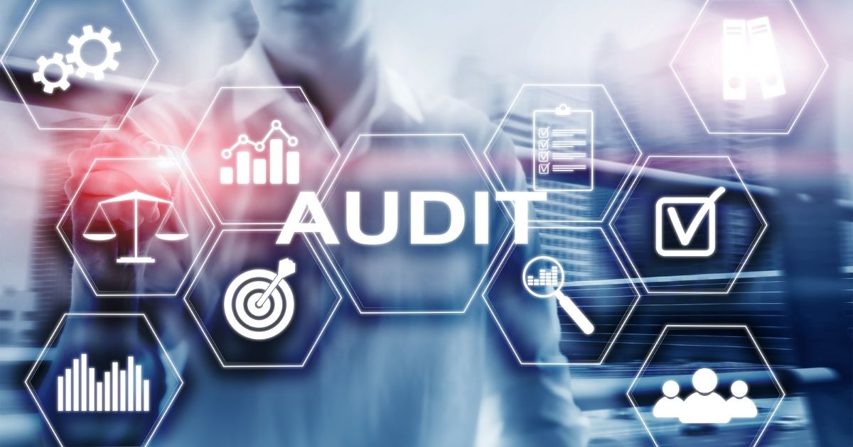 audit software