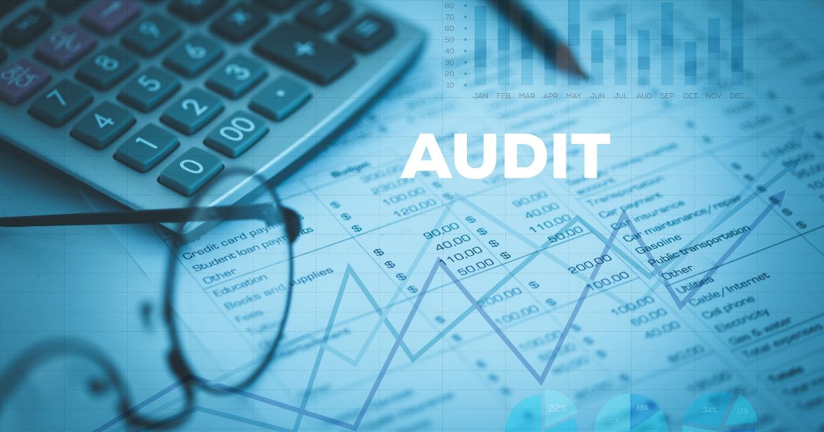 gestione audit