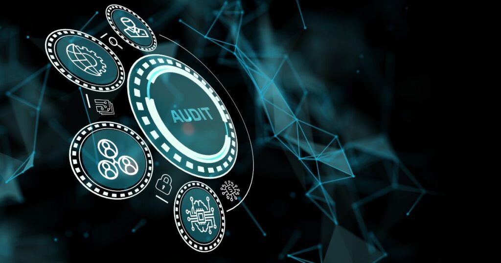 Audit management software