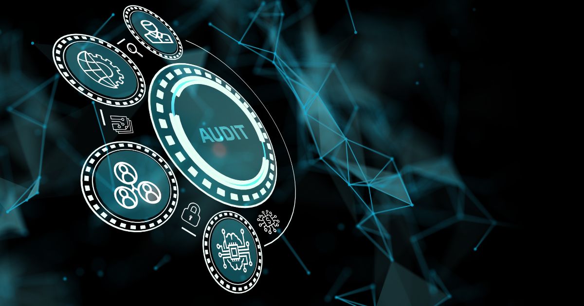 Audit management software