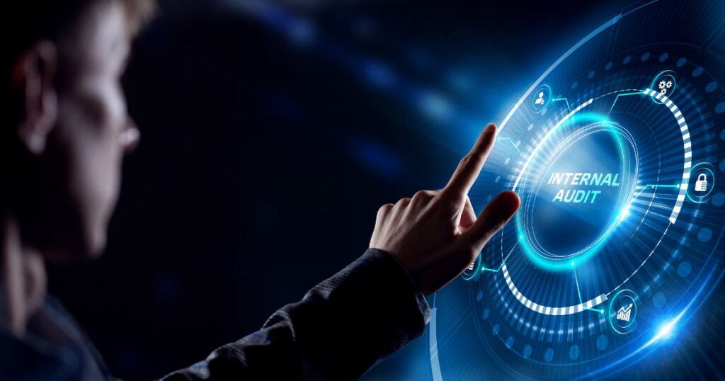 Internal audit software