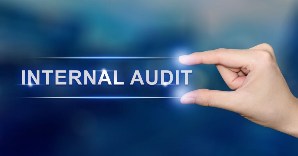 Internal audit program