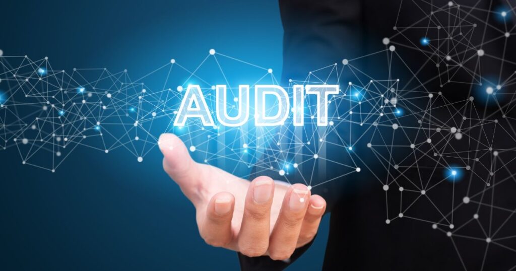 Software gestione audit