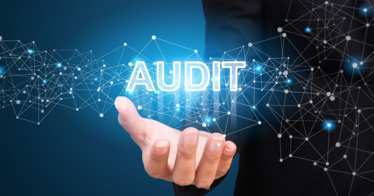Software gestione audit