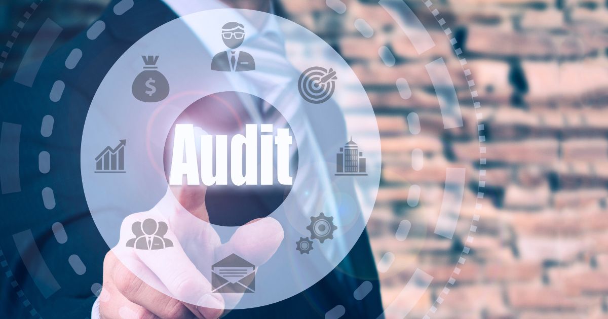 Programma di Audit
